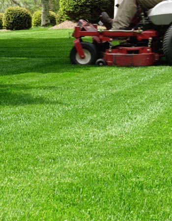 Lawn Doctor vs. TruGreen