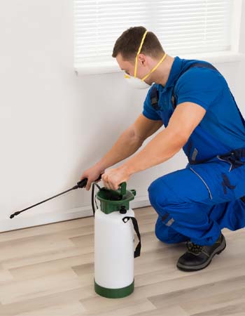 Pest Control Cost