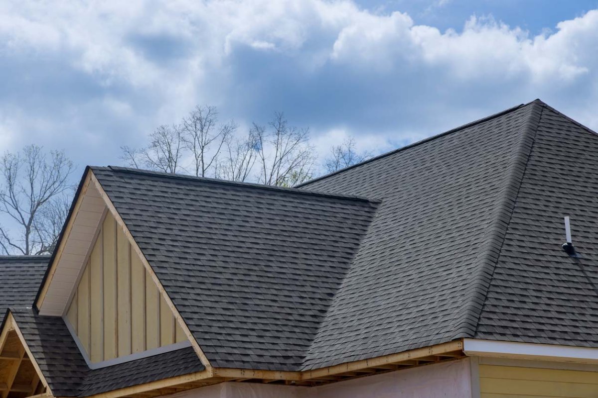 Shingle Roof Cost