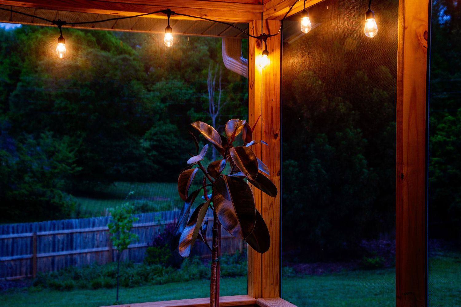 Brightech Solar String Lights Review: Are They Worth It? - Tested 