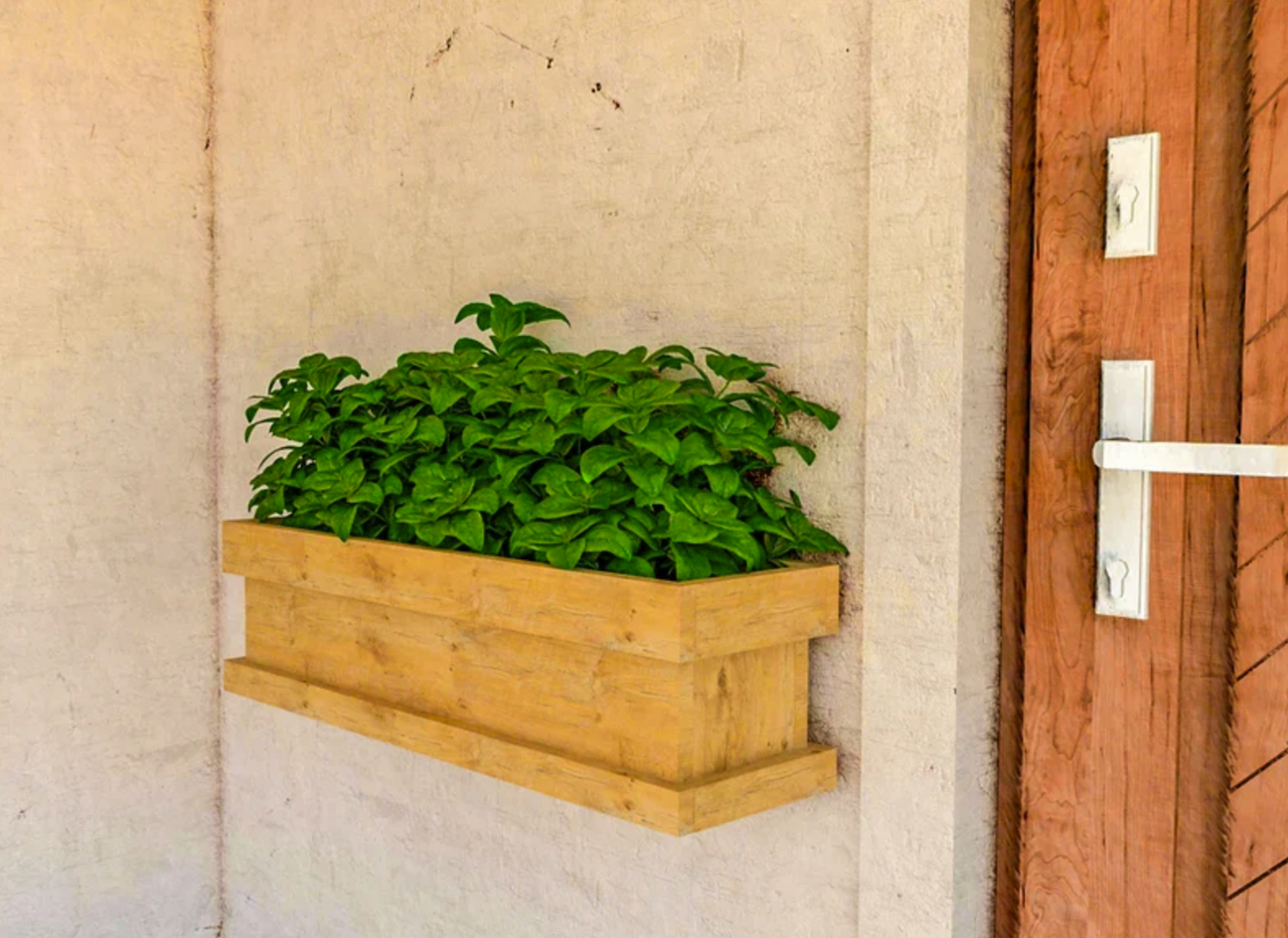 stucco exterior of house with small planter box mounted next to front door