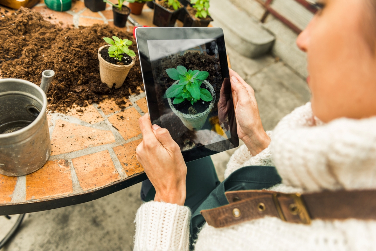 Woman taking picture of plant