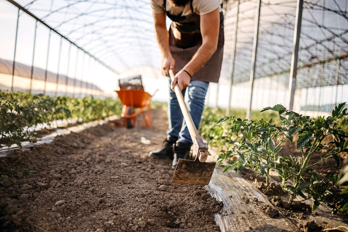 Person using garden hoe