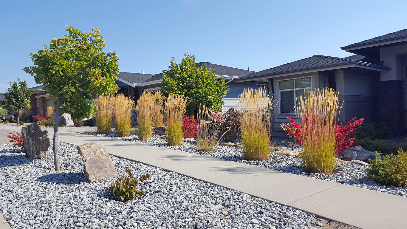 Row of modern homes with creative simple landscaping of front yards and boulevard.