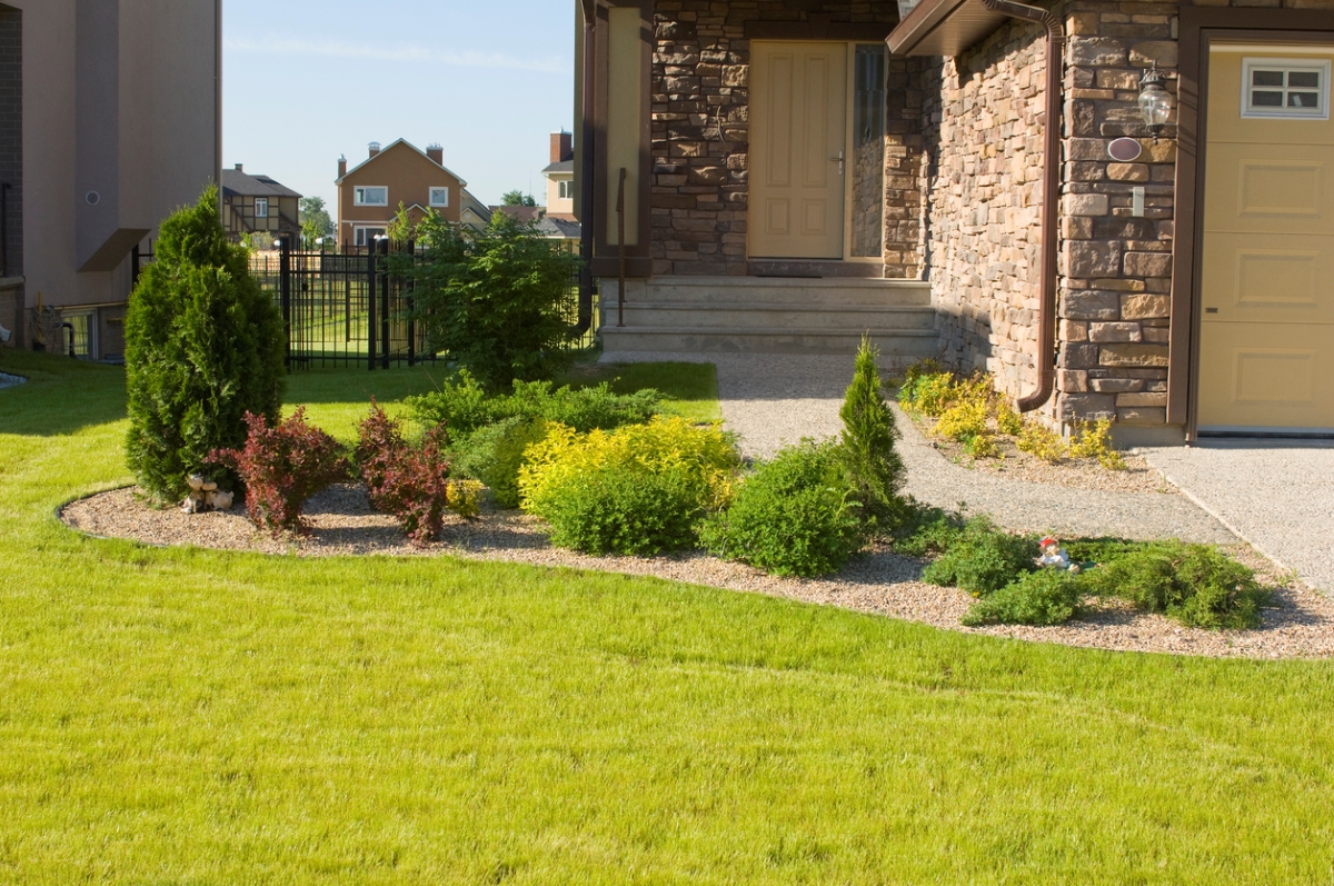 Shrubs growing in front of home