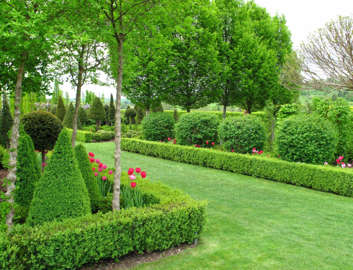 15 Types of Boxwood Shrubs DIY Landscapers Should Know - Bob Vila