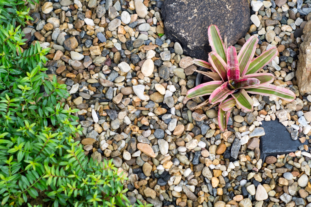 Rock mulch