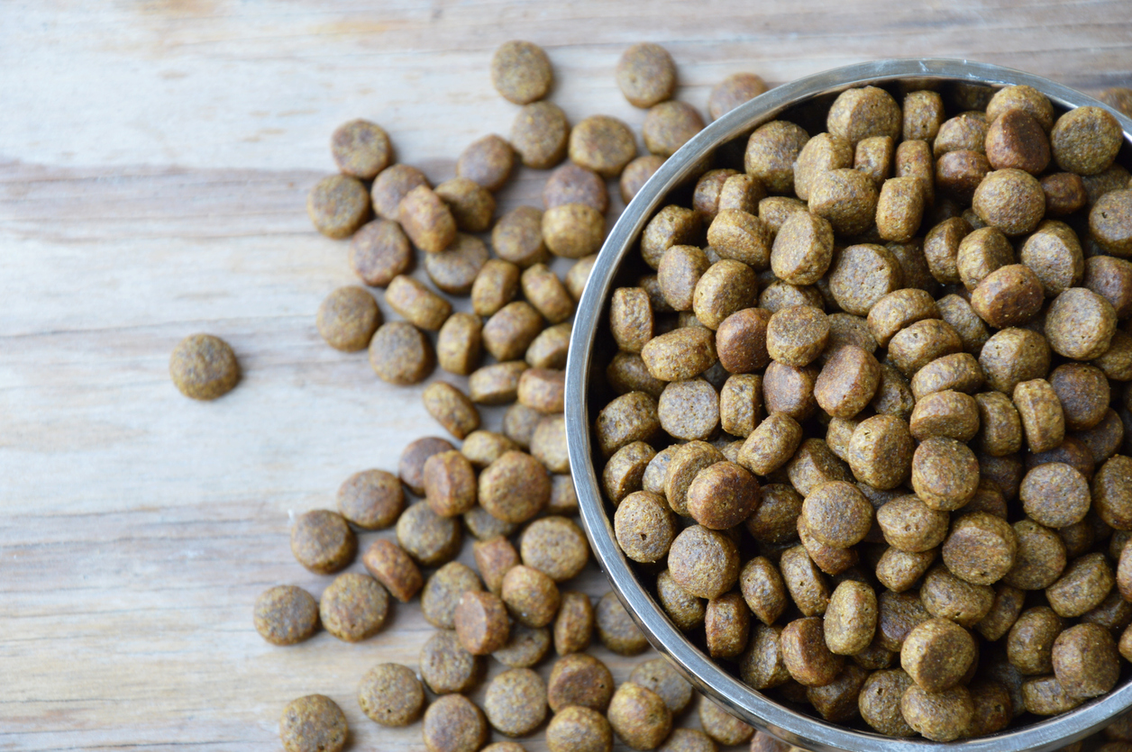 bowl of dry pet food spilled over onto floor