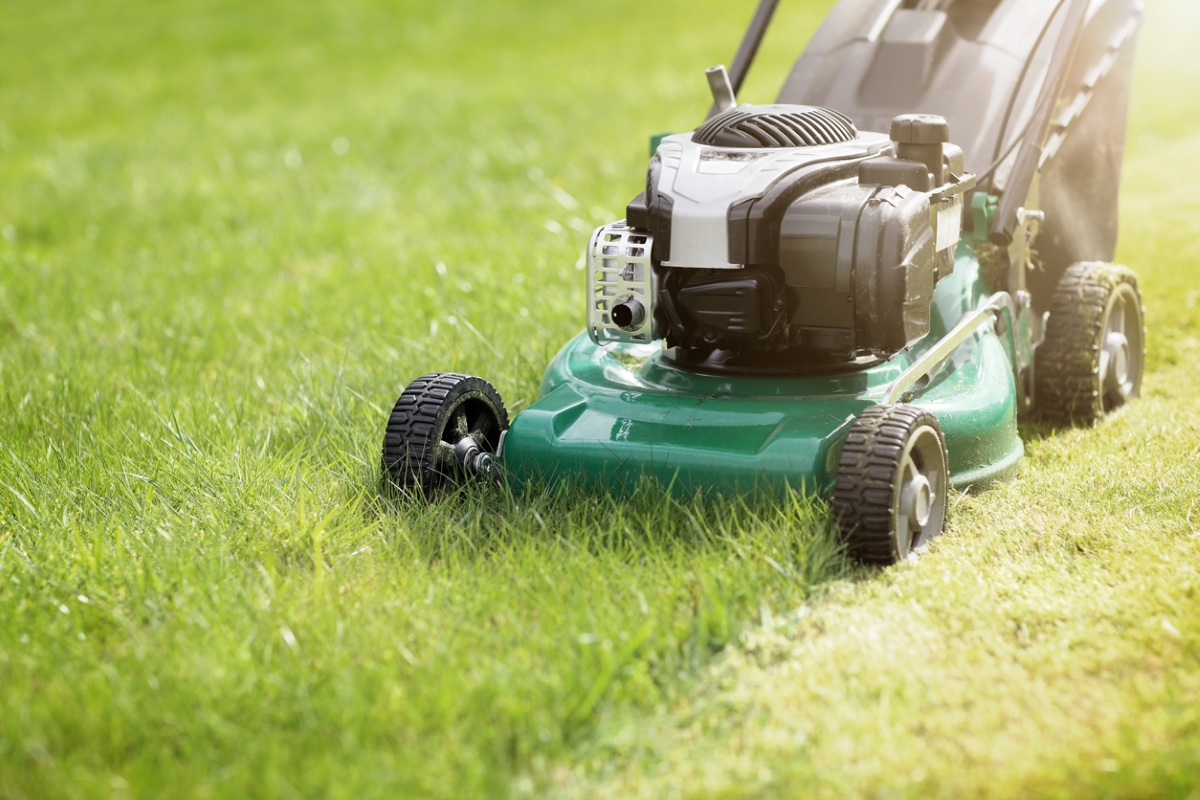 Green lawn mower on lawn