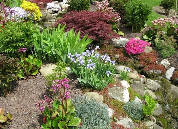 Rock garden on sloped back yard