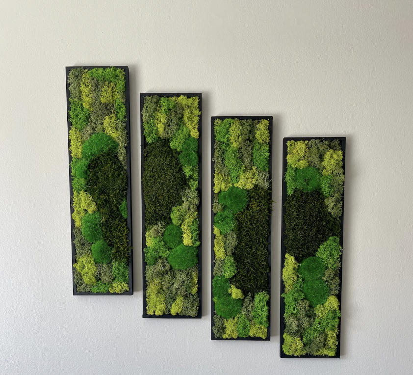 Moss Wall Art