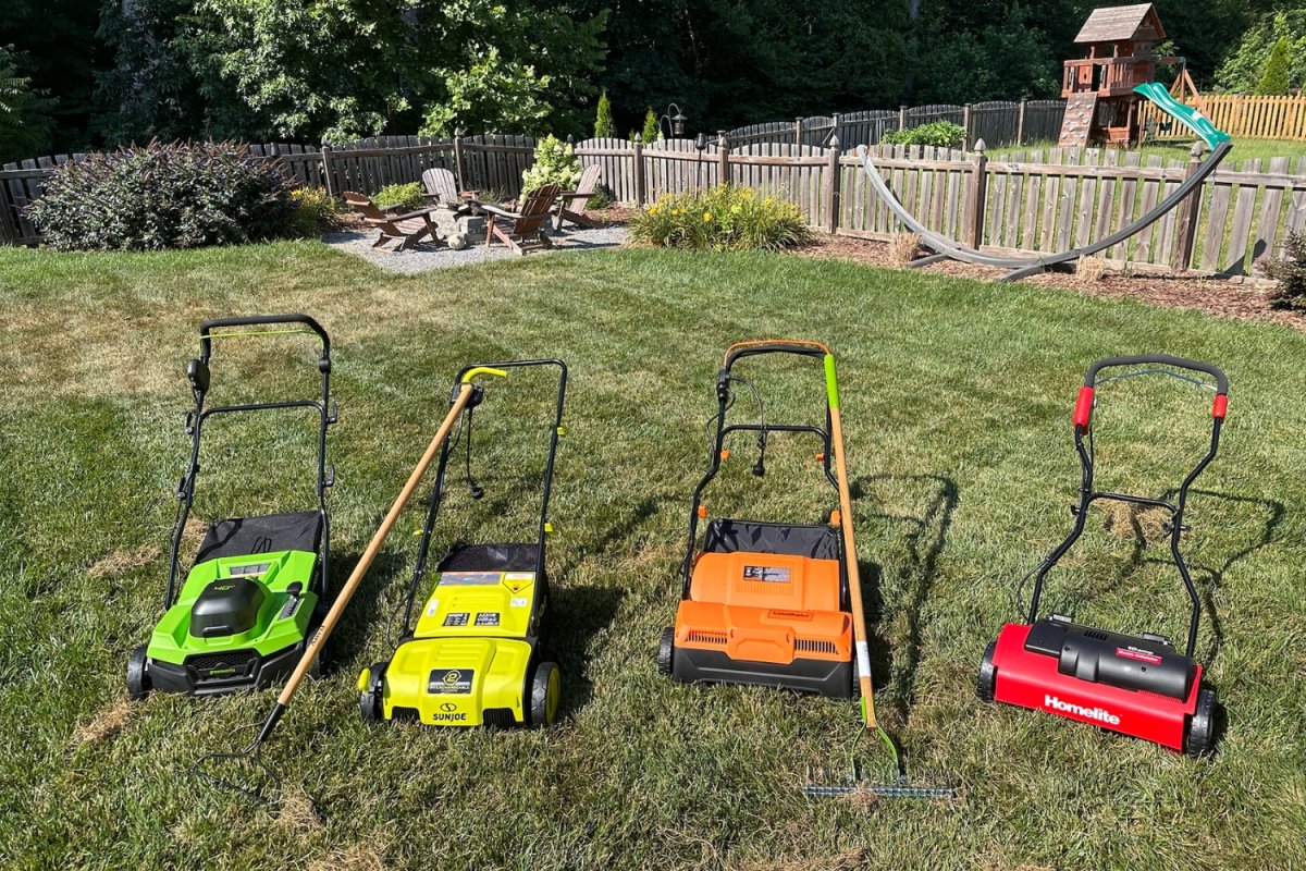 Six of the best dethatchers lined up on backyard grass