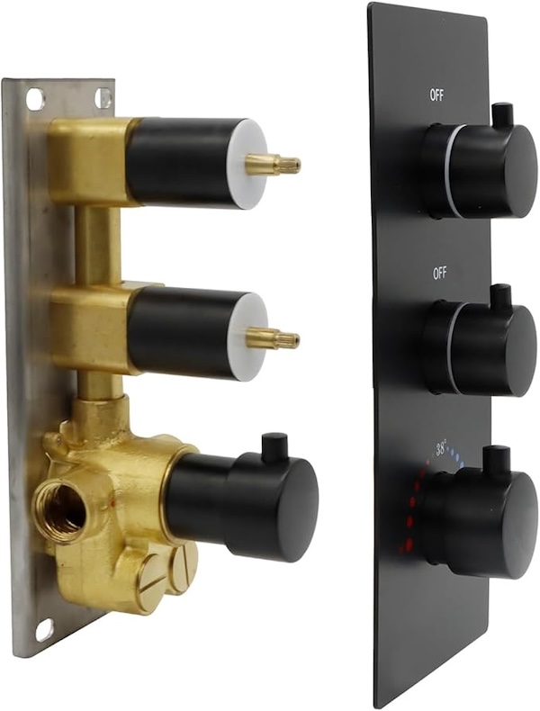 The front-facing and inner workings of a thermostatic shower valve.