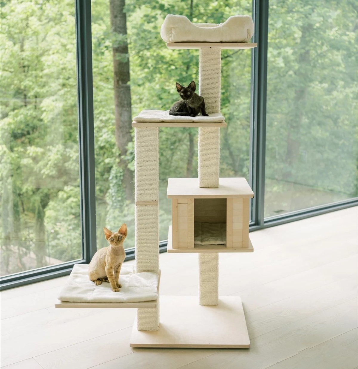 Cats on cat tree