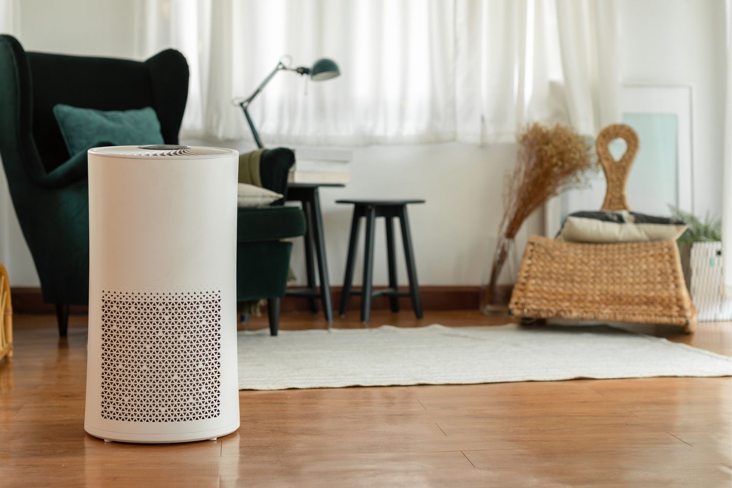 How Much Does a Whole-House Air Purifier Cost