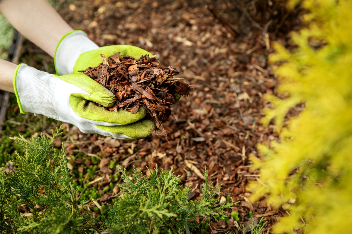 Mulching yard