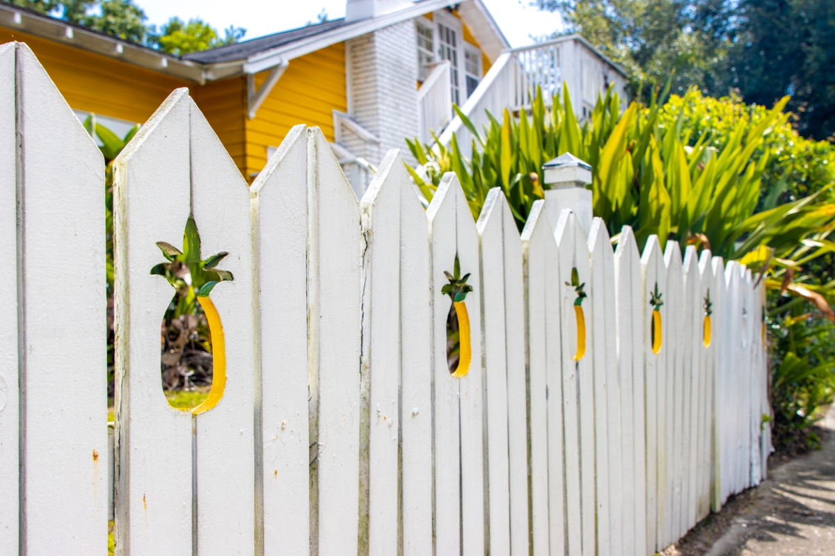 Pineapple cut out in fence