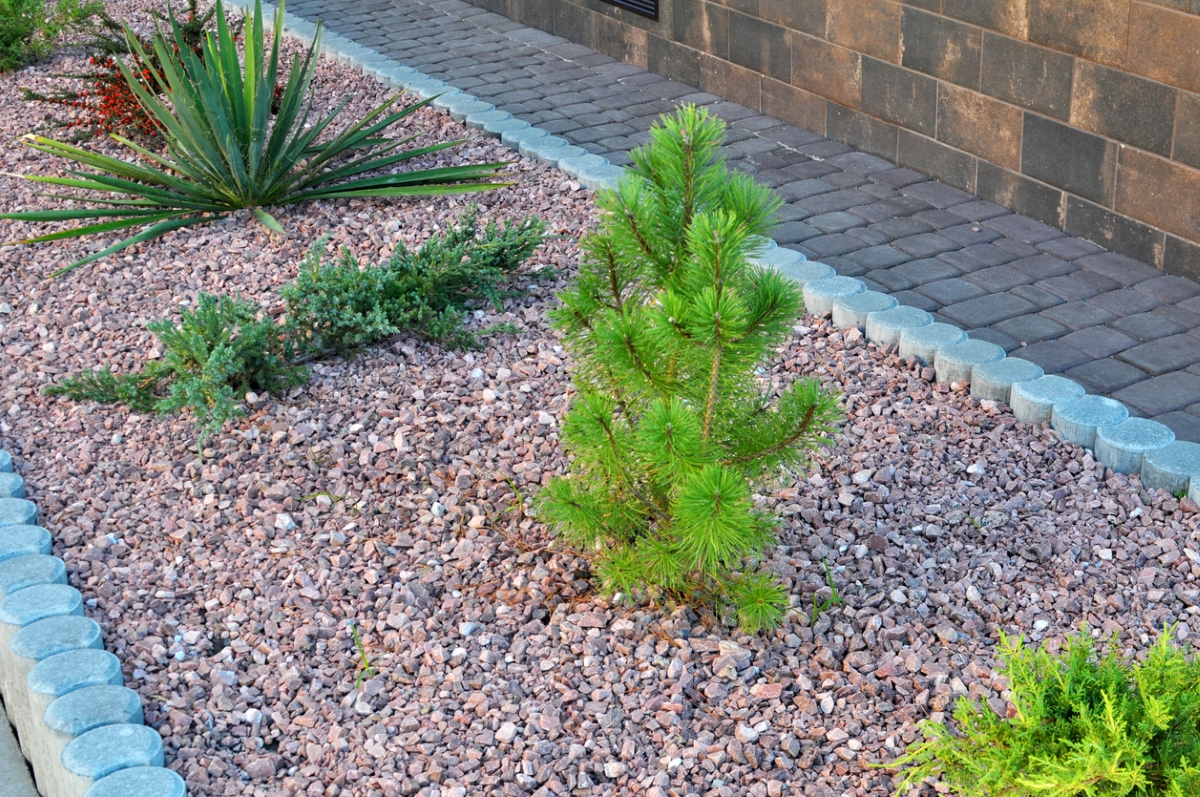 Gravel landscaping with plants