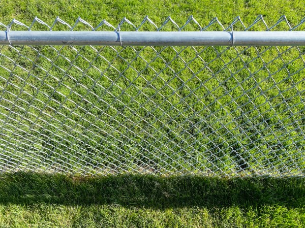 11 Living Fences That Look Better Than Chain Link