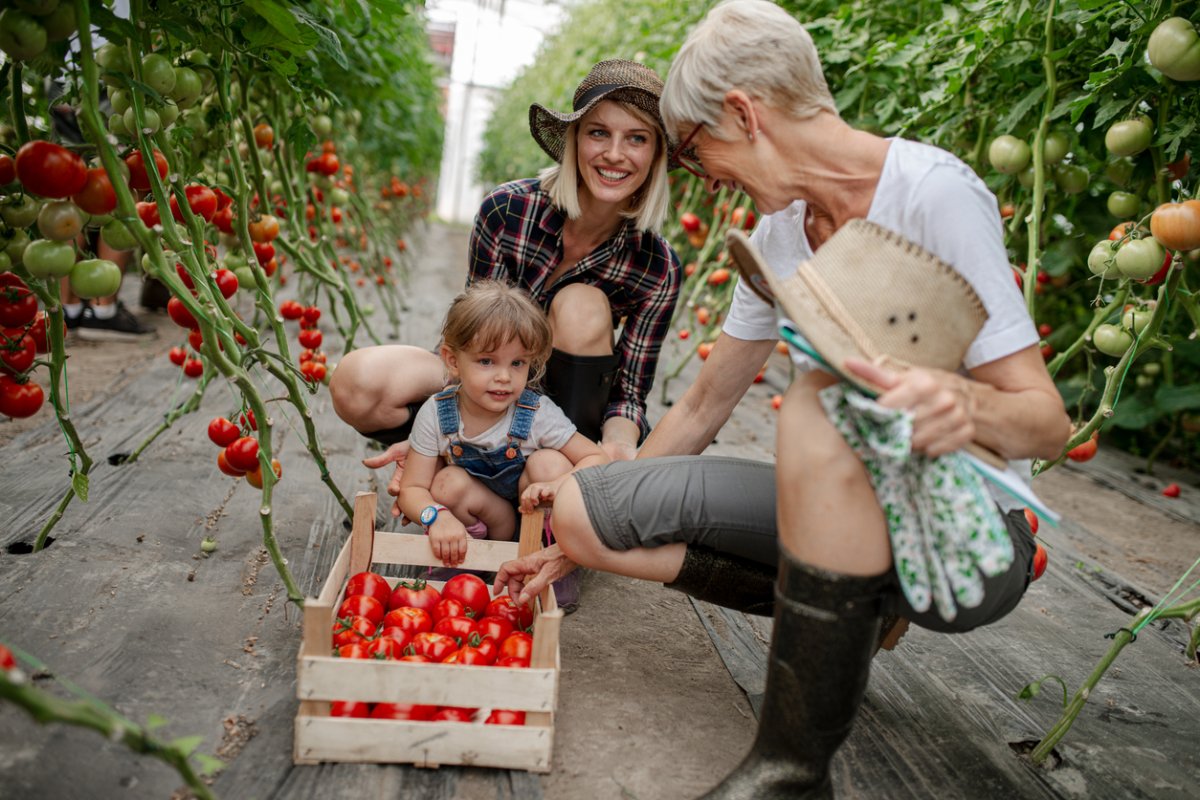 Grandma, daughter and granddaughter working in greenhouse