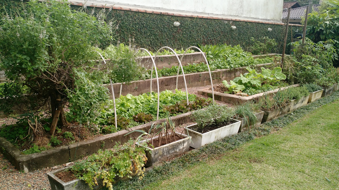 Organic vegetable garden