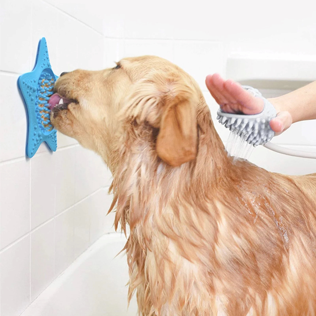 Dog licking peanut butter off pad on bathroom wall