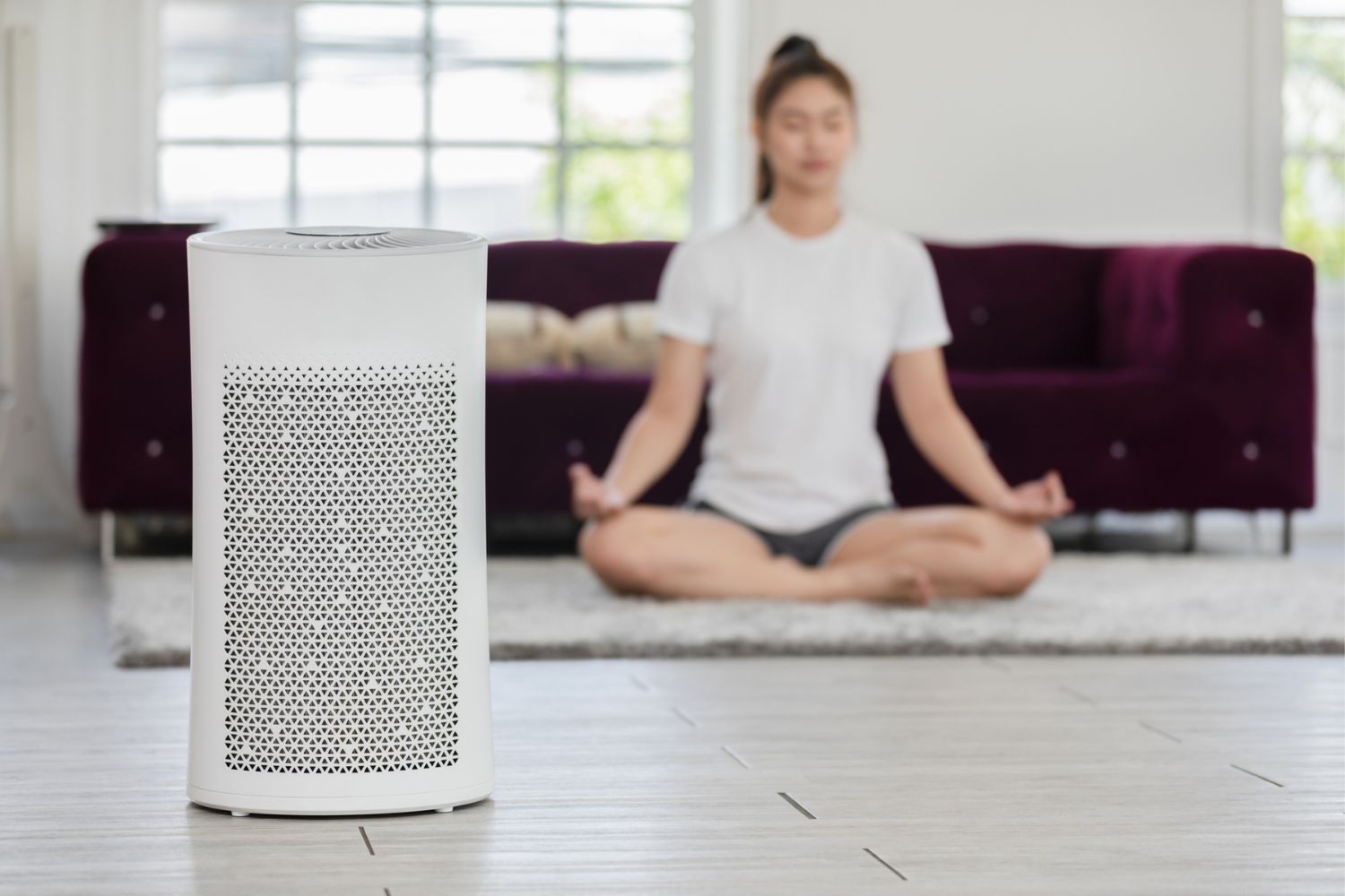 How Much Does a Whole-House Air Purifier Cost