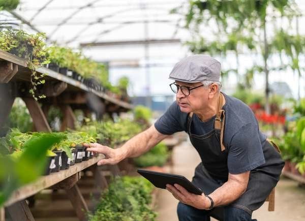 Man in a garden center looking at plants