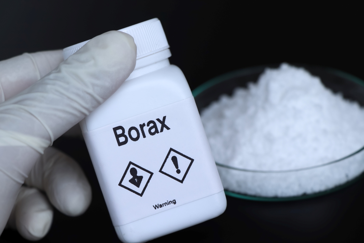 Gloved hand holding borax