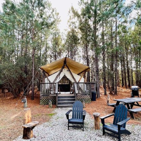  The Best Airbnbs in Myrtle Beach Option Lil Bear Tent at Laurel Oaks Estate