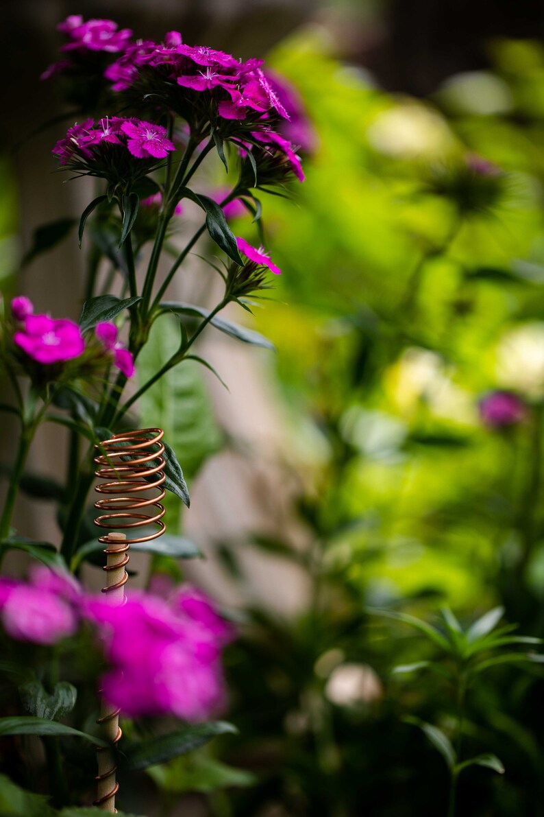 electroculture atmospheric antenna in flower bed