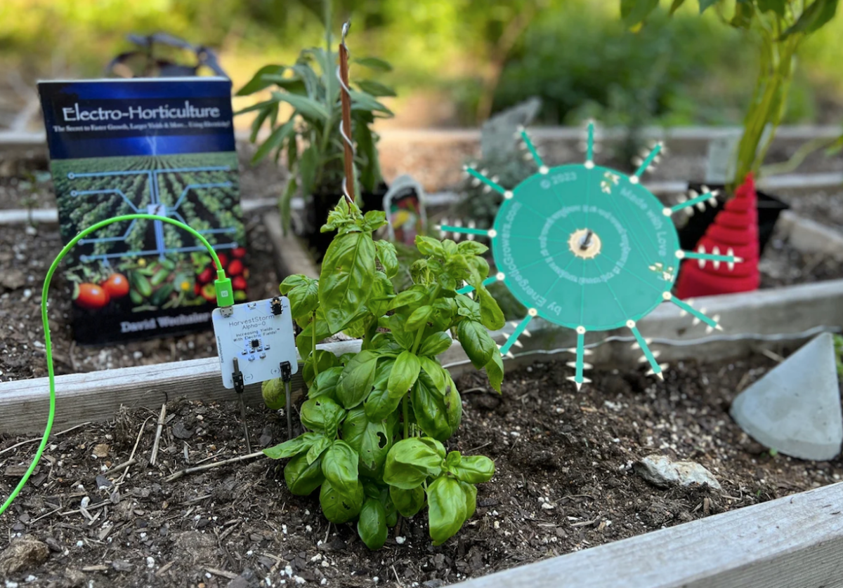 green atmospheric antenna in raised garden bed with herbs and other plants