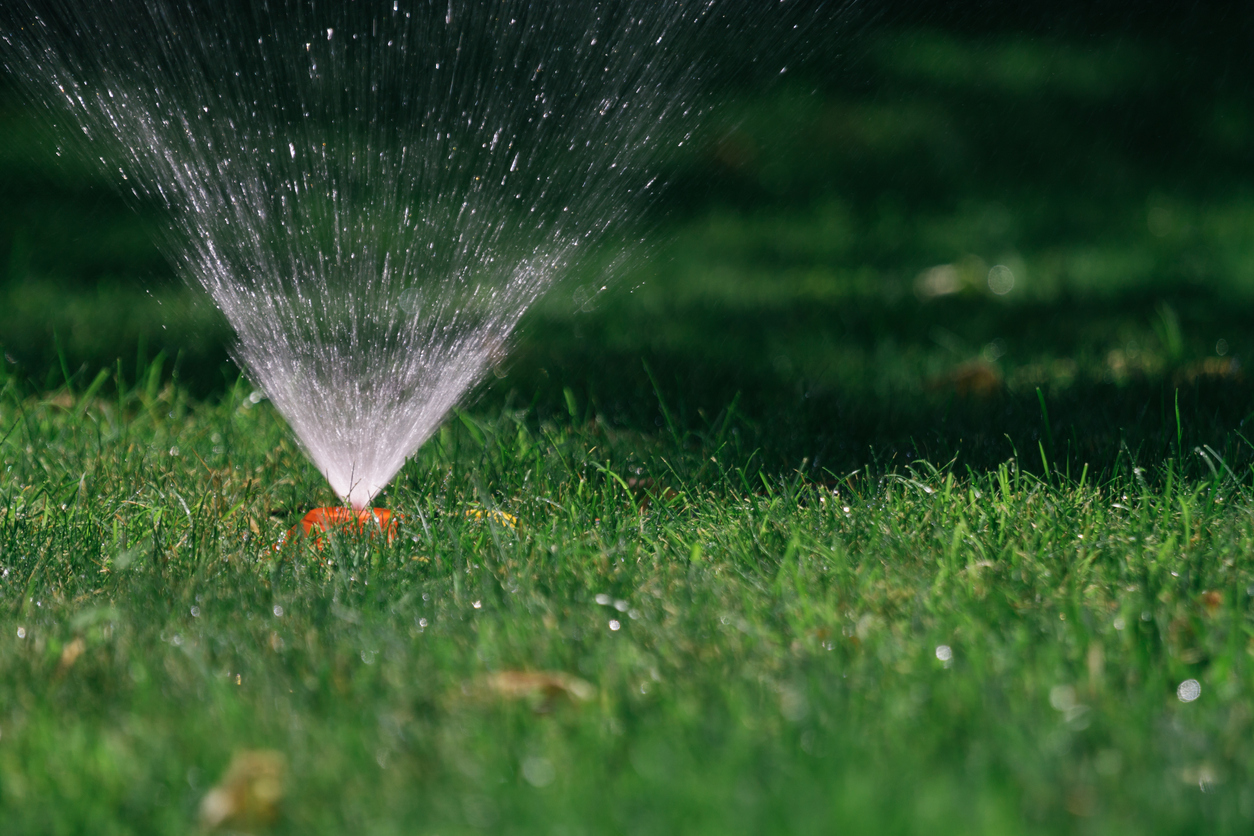 close ground level view of sprinkler head spraying water on green lawn