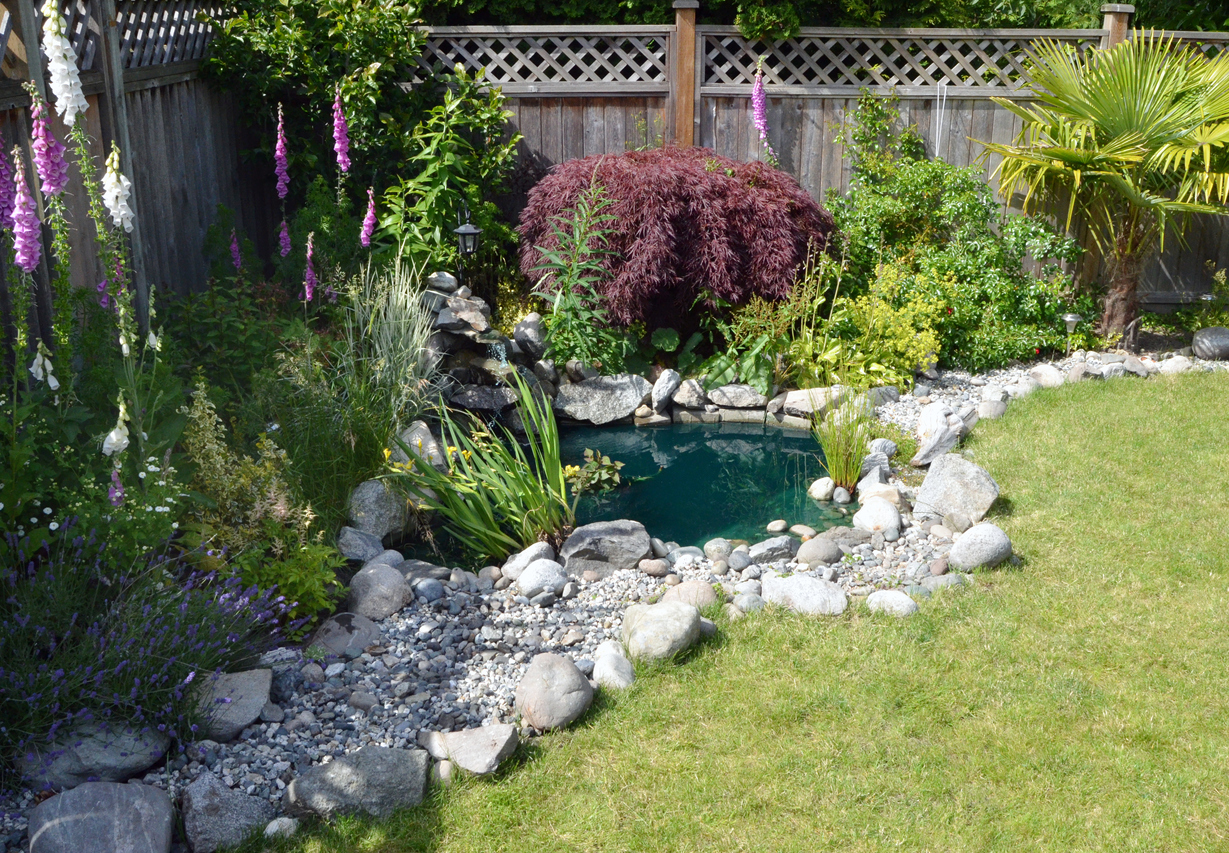 Closeup of a homemade backyard pond.