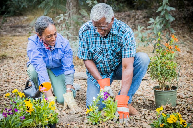 A senior retired black couple enjoying time together in the garden.