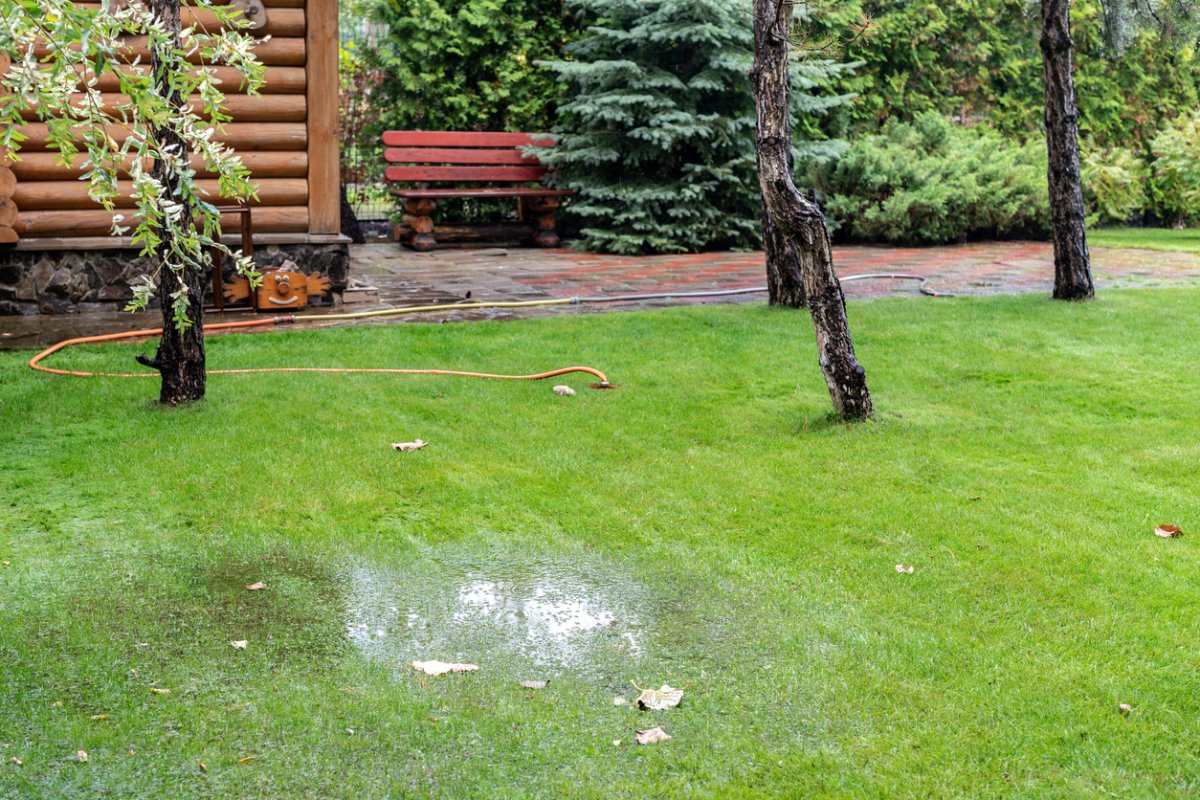 Garden bushes, tree and green grass lawn covered with water due to snow melting thaw and flash high water at spring. Natural disaster deluge flooded house backyard pathway ang greenery at countryside.