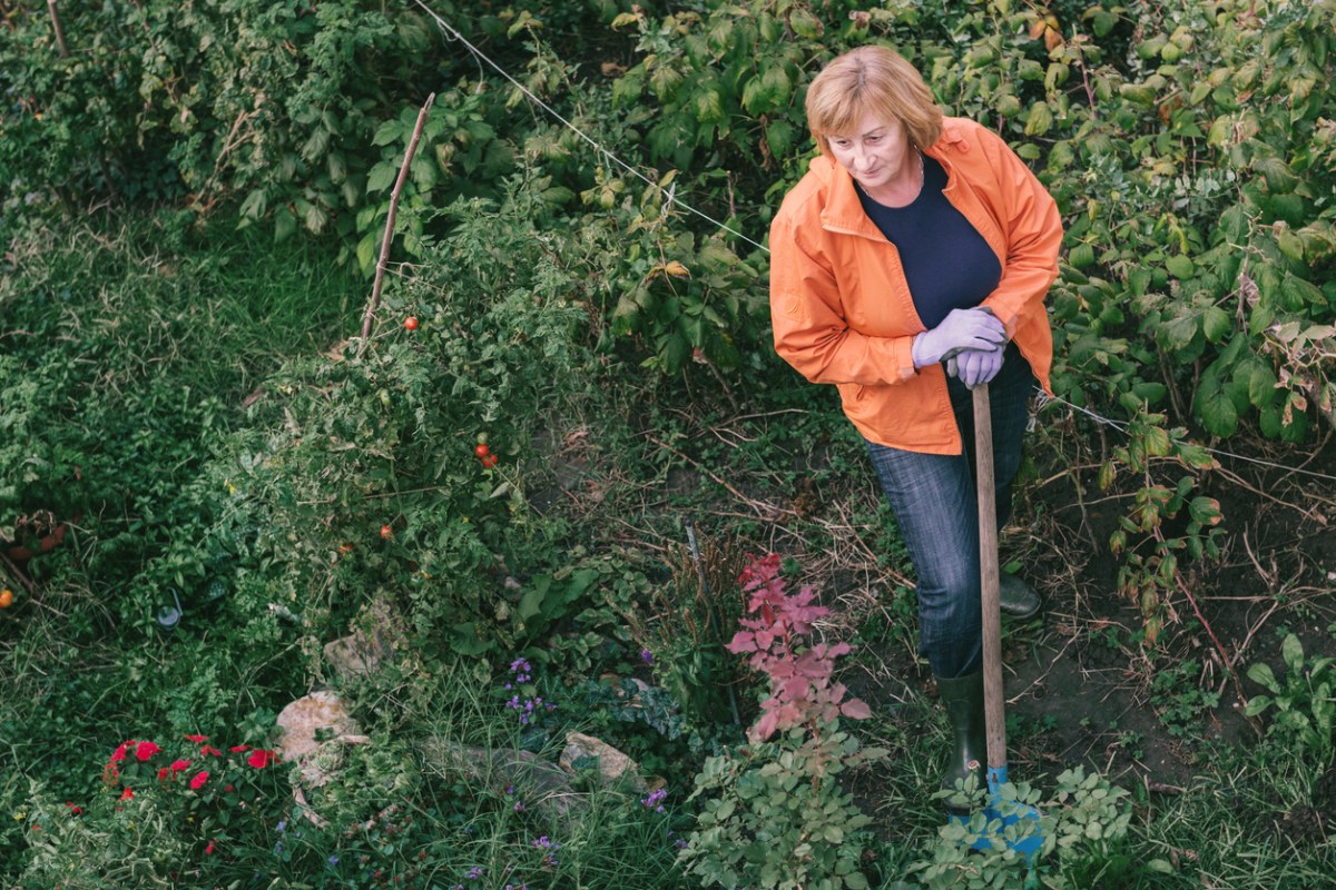 10 Popular Landscaping Plants You Should Get Rid of ASAP