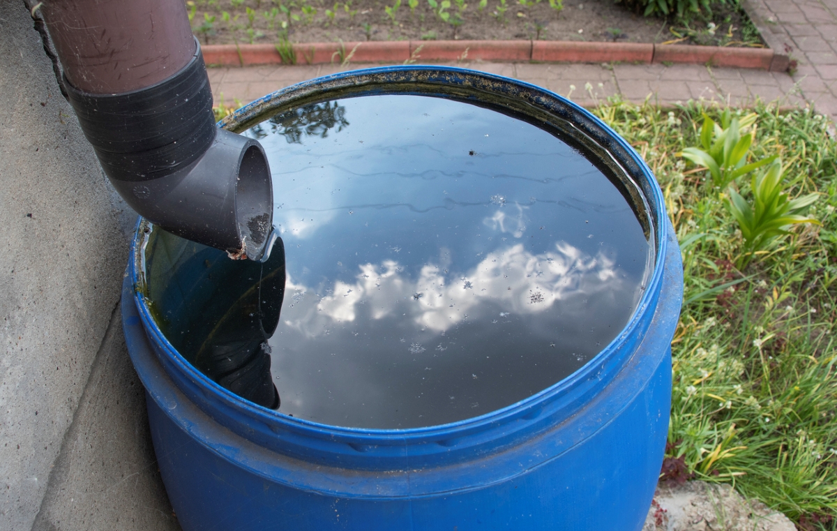 Dirty rain barrel