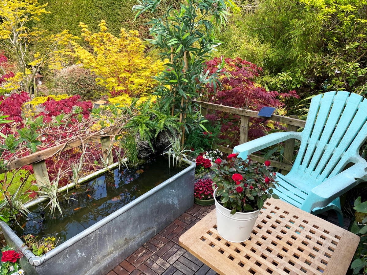 Small patio with garden pond