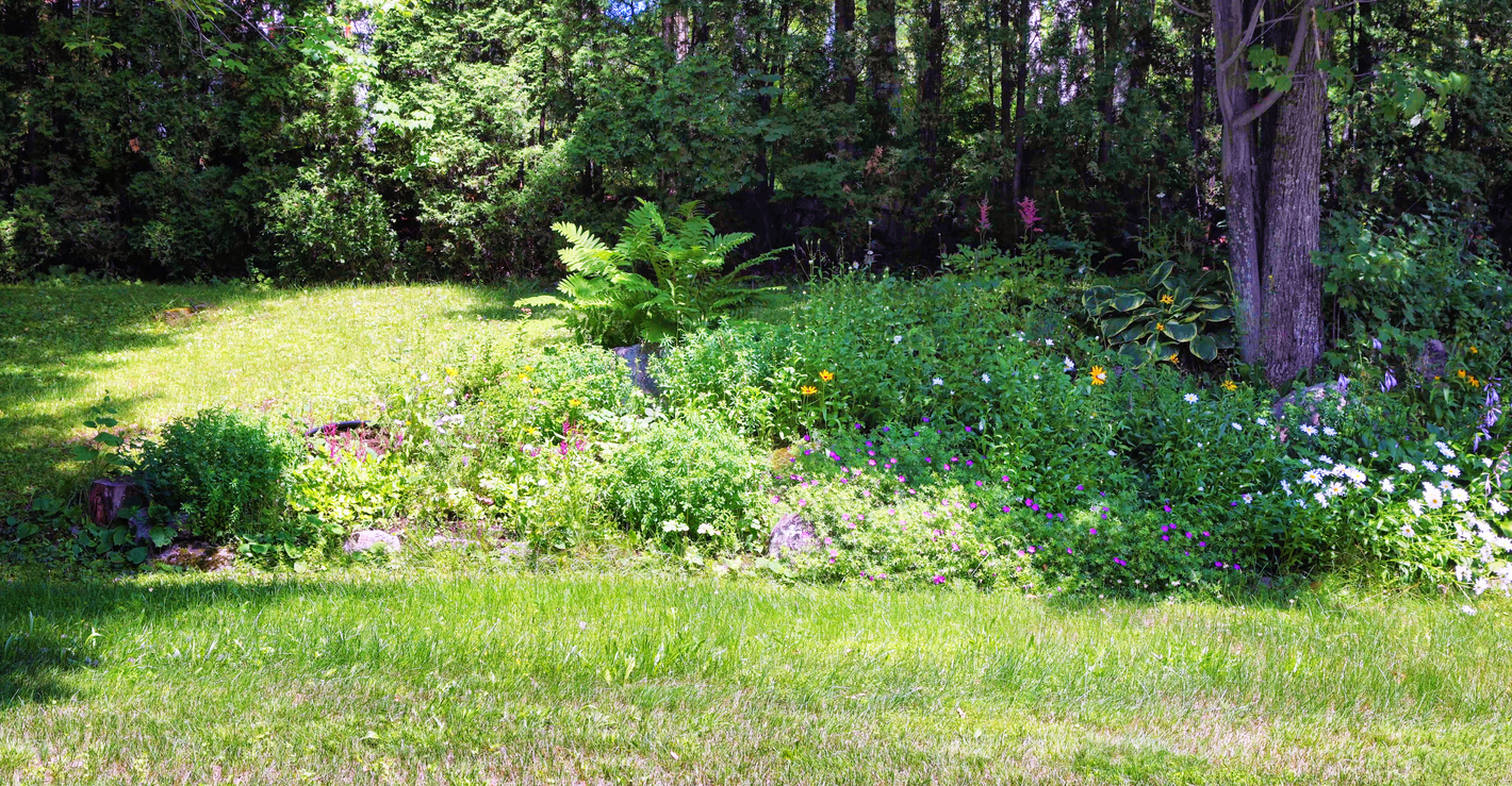 Landscaped hill and lawn background on sunny day with strong shade