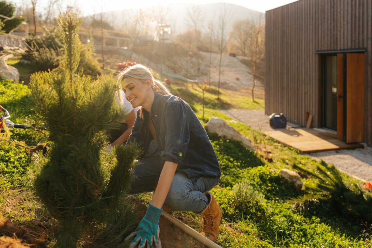 young-woman-plants-a-conifer-trere-in-front-of-a-brown-contemporary-house-at-sunset