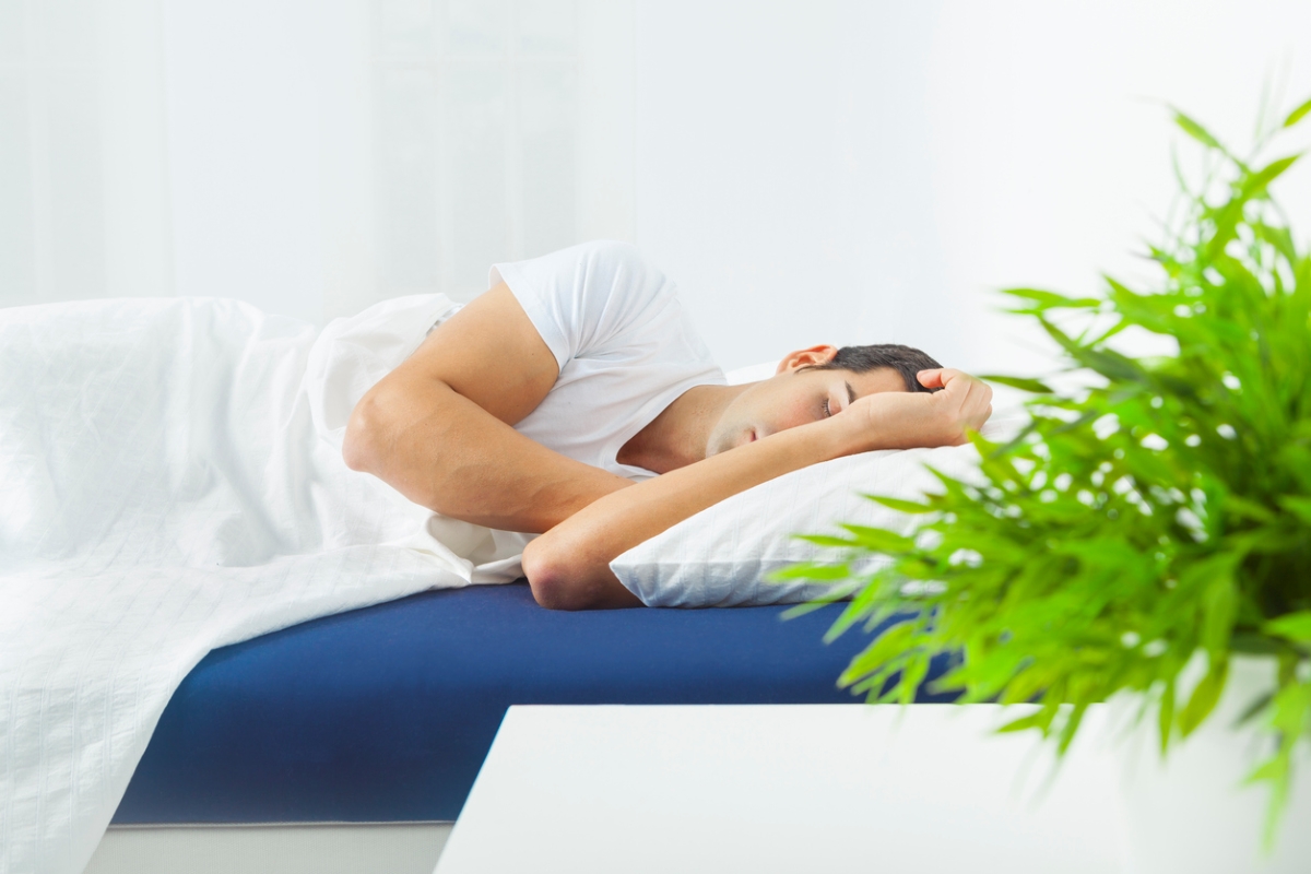 Man sleeping near plant