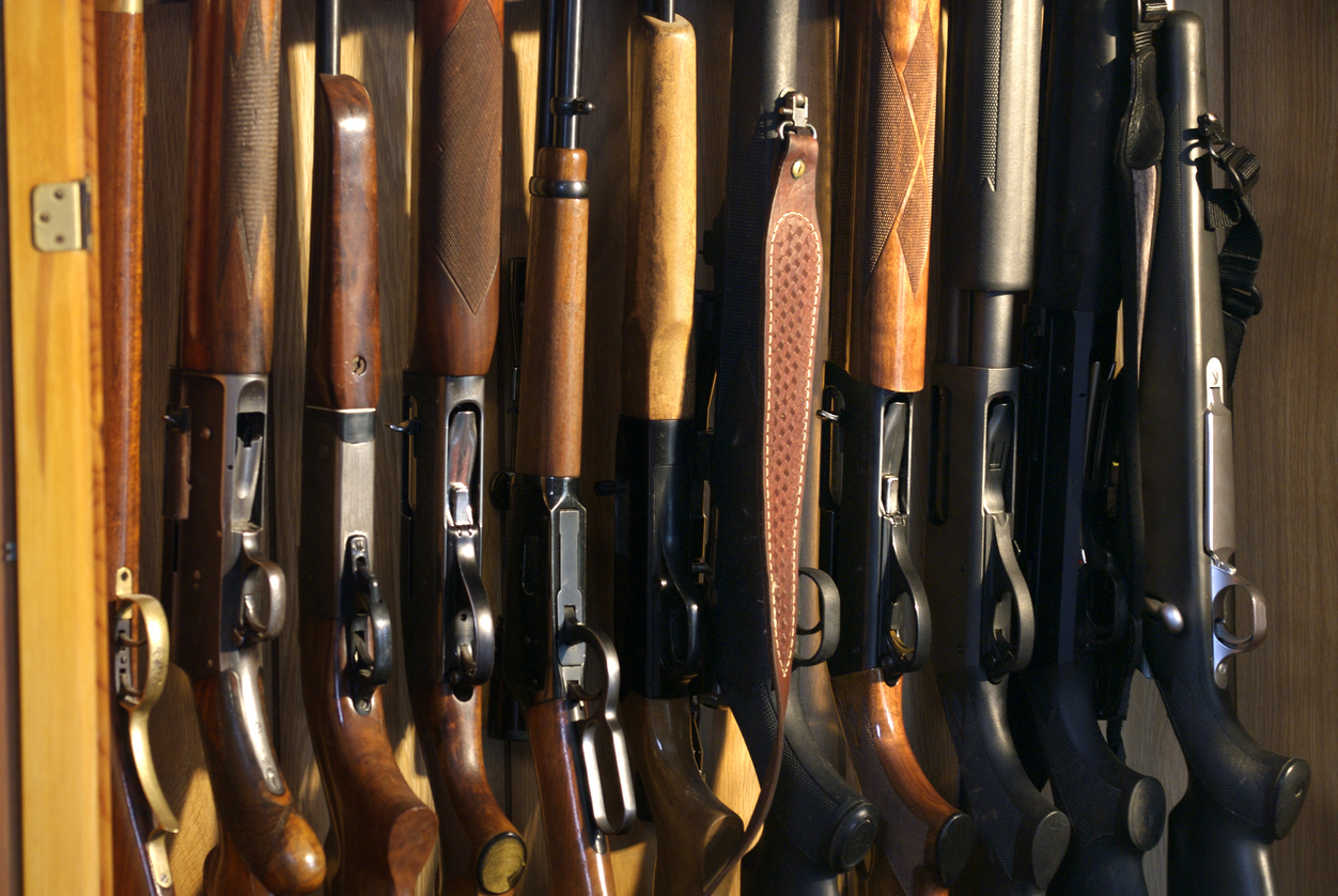 Ten rifles and shotguns lined up in a hunter's gun case.