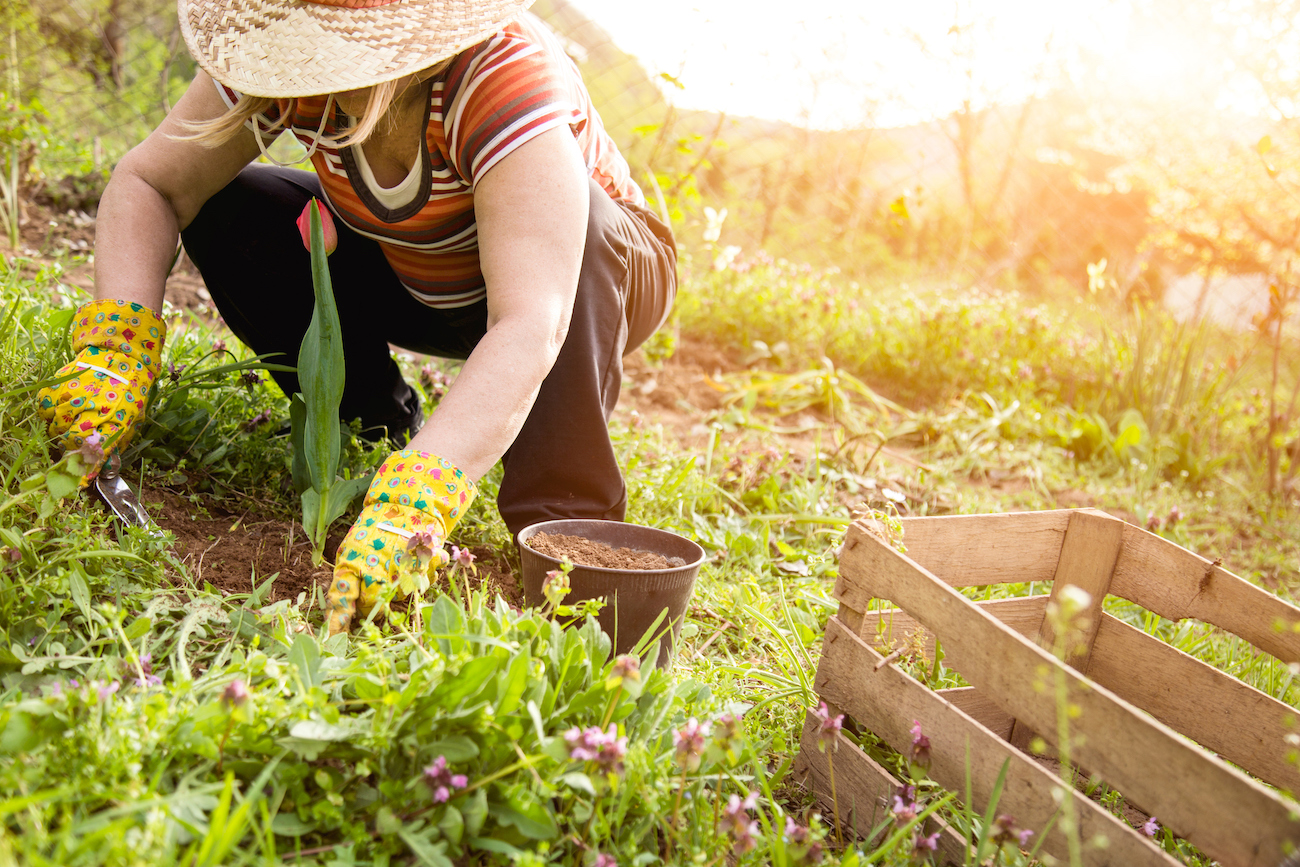 woman-in-brown-clothes-uses-a-trowel-and-yellow-gloves-to-tend-to-a-wildscape-garden