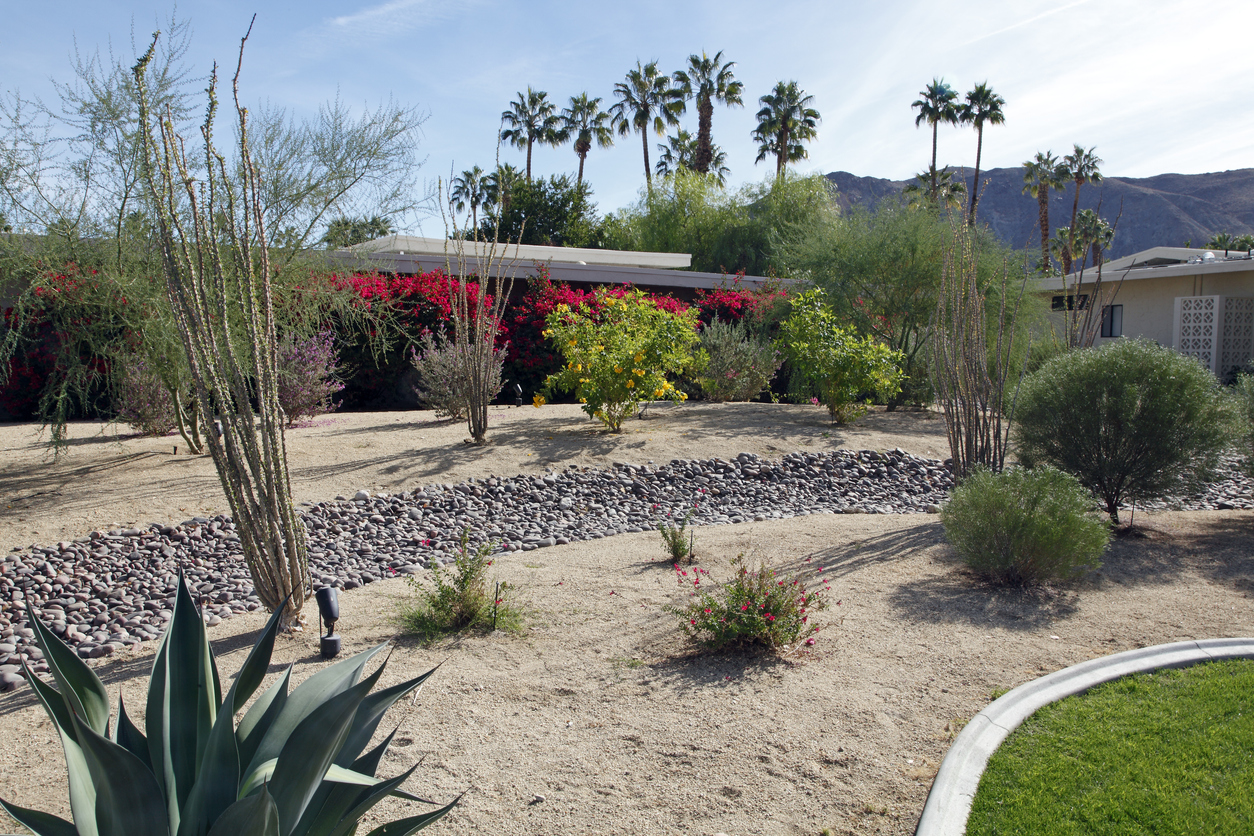 Excellent example of water conservation landscaping. Some lawn but mostly drought tolerant plants including succulents. Dry stone creek.