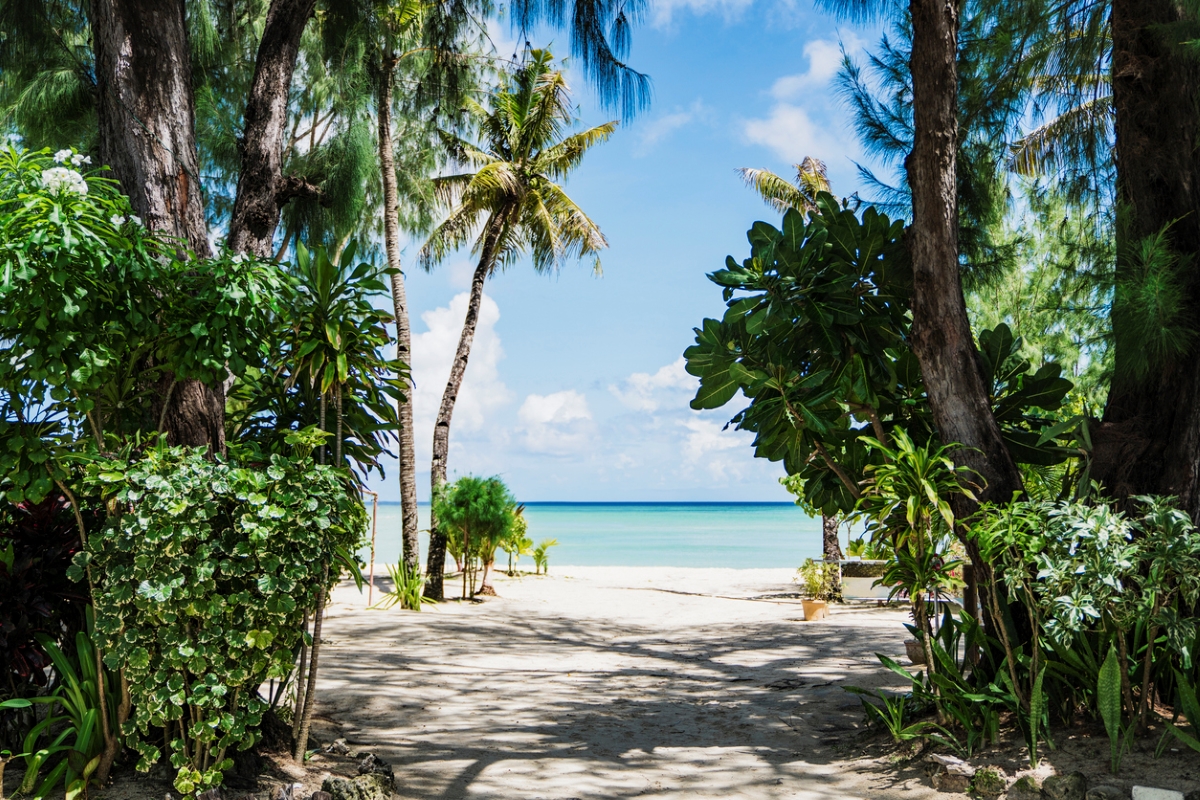 View of beach from pathway