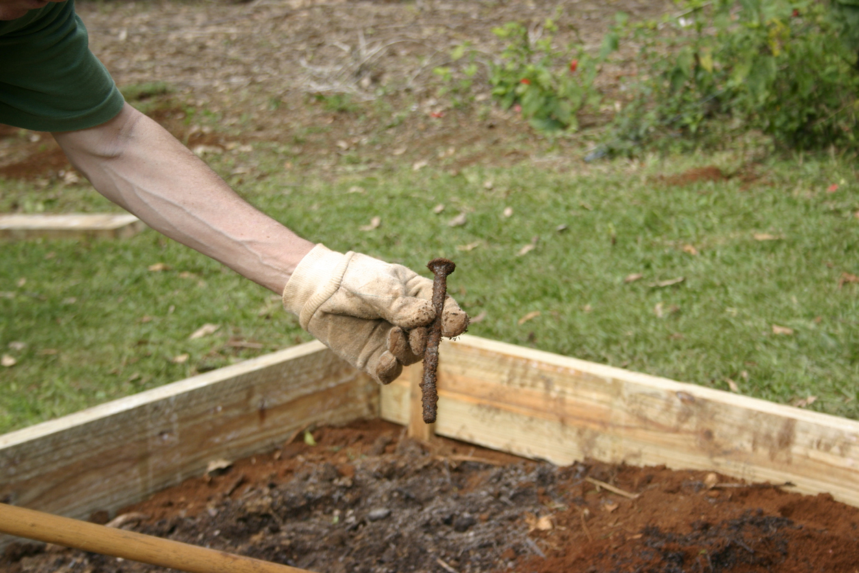 Man's gloved hand holding old rusty bolt or nail found in garden soil