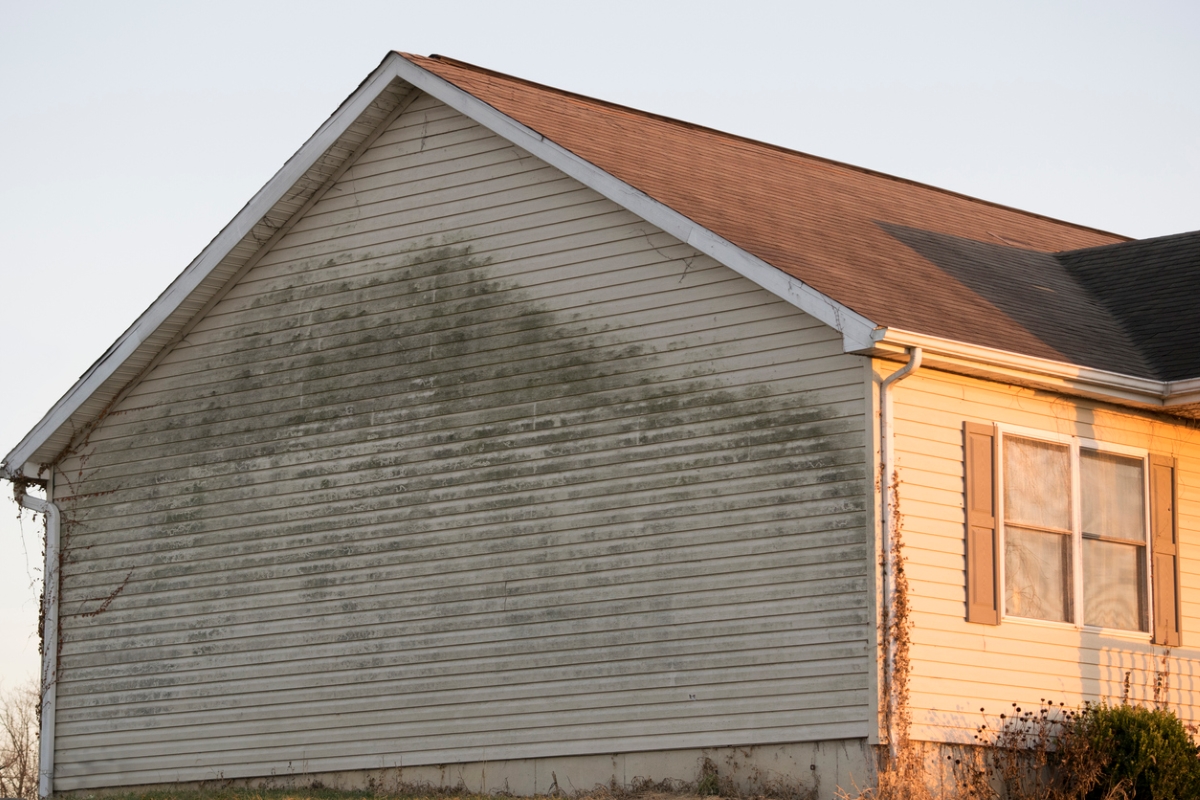 Damaged siding