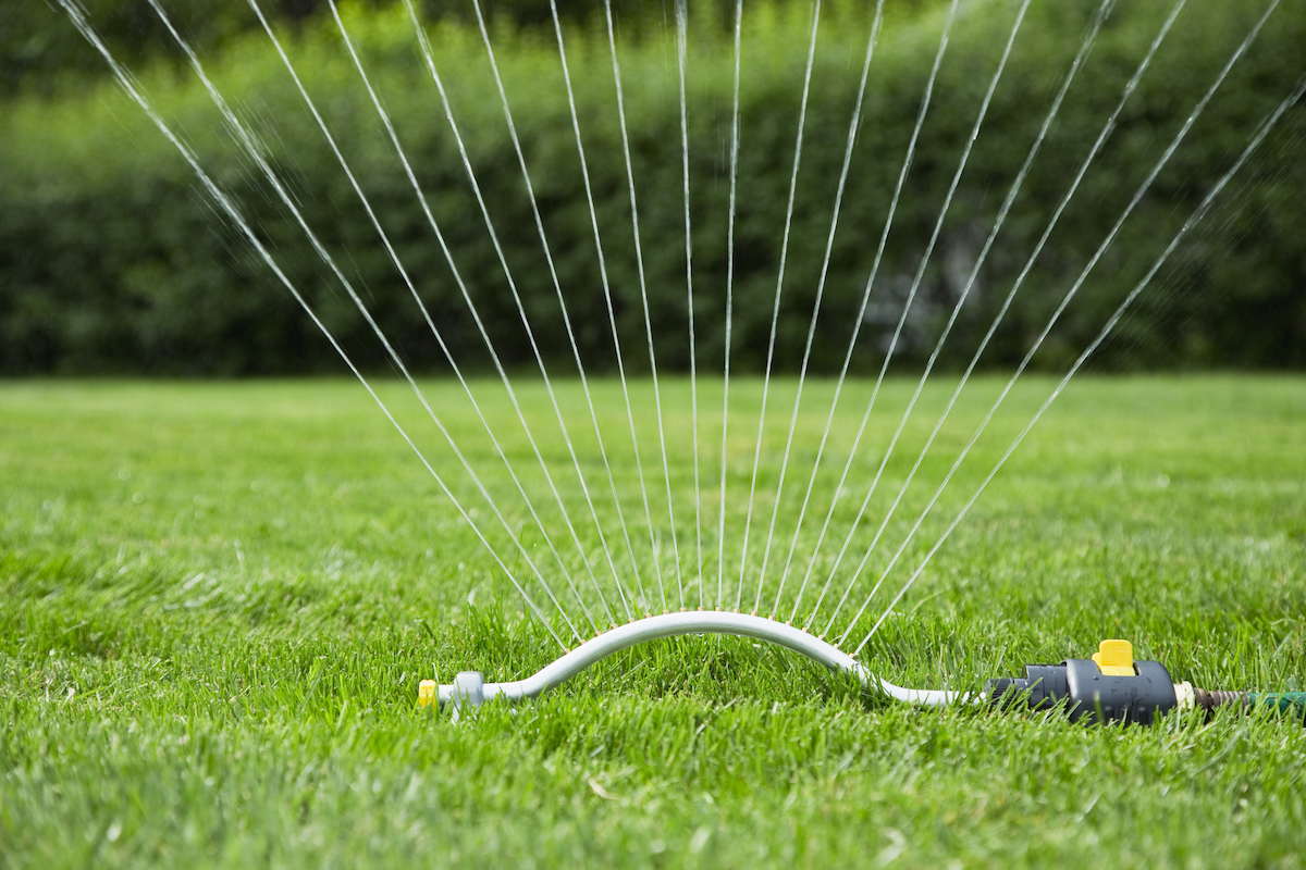 V-shaped sprinkler sprays water on a green lawn.