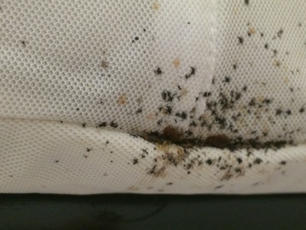 A close-up of a mattress what has bed bug debris smeared on it.